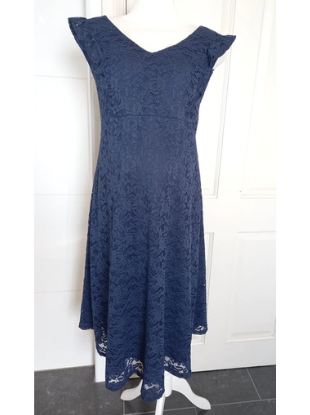 Dorothy Perkins Navy Lace Sleeveless Dress (BNWT) - Size 22